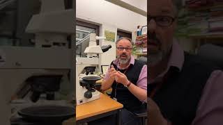 *Looking INTO Lava ROCKS*: The Petrographic Microscope #lava #science #volcano #minerals #microscope