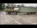 delivery of dairy cows to northern ireland