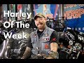 Gus Wolf Shows Off Two Awesome Harley Davidsons