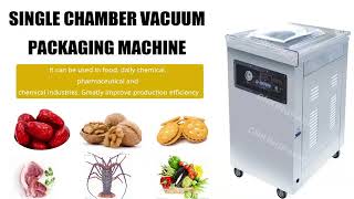 DZ-400/2E Single Chamber Vacuum Packaging Machine