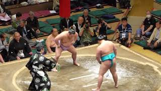 Meisei (3-3) - Kotoeko (3-3) , Sumo : Natsubasho '17