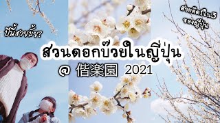 แม่บ้านอิ่มจังพาชมสวนดอกบ๊วยในญี่ปุ่น2021#สวนดอกบ๊วย#偕楽園#ดอกบ๊วยในญี่ปุ่น#มิโตะ#อิบารากิ#ยาไต้