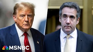 Trump 'hates the fact that we did it,' Michel Cohen claims in recording played a