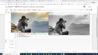 How to resize and convert image into grayscale using python # jupyter Notebook| #03