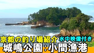 京都の城島公園・小間漁港の釣り場を水中映像付きで紹介！