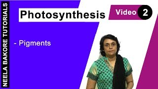 Photosynthesis | NEET | Pigments | | Neela Bakore Tutorials