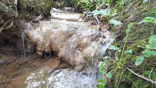 Lincolnshire Chalk Streams - Tufa