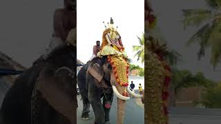 udayanapuram Temple... vaikom