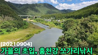 [20210904] 가을의 초입, 홍천강 쏘가리 낚시(Feat. 쏘가리vs꺽지) |  루어낚시 | lure fishing