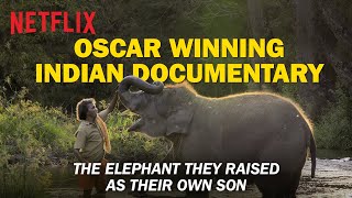 The Elephant Whisperers | Bellie, Bomman And Their Son Raghu | Oscar-Winning Documentary