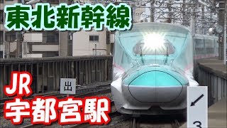 [東北新幹線] JR宇都宮駅 発着通過シーン