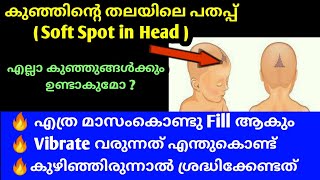 കുഞ്ഞിന്റെ തലയിലെ പതപ്പ് (Soft Spot in Head) 🔥അമ്മമാർ പ്രധാനമായി ശ്രദ്ധിക്കേണ്ട കാര്യങ്ങൾ