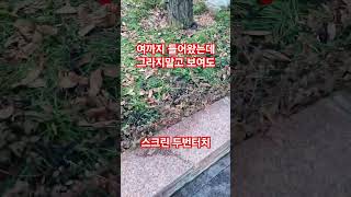 그라지말고 함 보여도 #웃낄