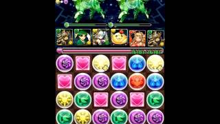 【パズドラ】ゼウス降臨！ 全能神　超地獄級「愛猫神x愛猫神」