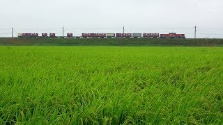 JR貨物 山陰本線迂回貨物列車 運行10日目 (7-Sep-2018)