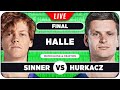 SINNER vs HURKACZ • ATP Halle 2024 Final • LIVE Tennis Watchalong Stream