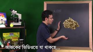 Evaporation | স্বতঃ বাষ্পীভবন | OnnoRokom Pathshala