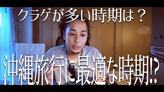 【沖縄VLOG】沖縄クラゲが多いシーズンはいつ？旅行に最適な時期についても解説します