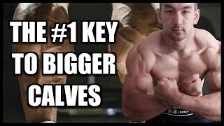 The #1 Key To Build Bigger Calves
