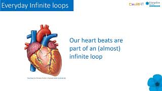 Understanding infinite loops in algorithm & code