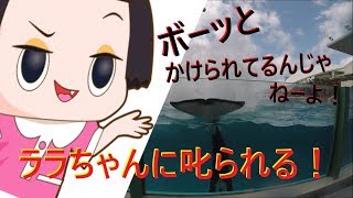 鴨川シーワールド２０１８　シャチパフォーマンス２４７　GoProでララちゃんに叱られたサマースプラッシュを４Ｋで撮ってみた　killer whale show