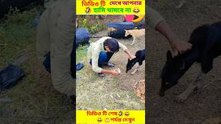 😂🤣এদের কান্ড দেখে আপনার হাসি থামবে না৷ Funny Video Bangla| #shorts #funny #comedyvideos