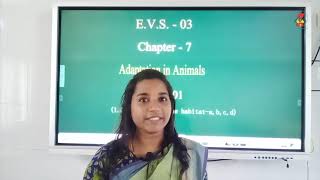 EVS03   Worksheets   Chapter 07   Adaptation in Animals   Video 01   Adaptation to Habitat a,b,c,d