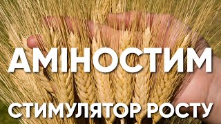 Аміностим - стимулятор росту з високим вмістом амінокислот