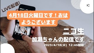 ニコ生【加瀬ちゃん（豚王）】さんの配信です。4月18日火曜日です！おはようございます2023/4/18(火) 12:46開始