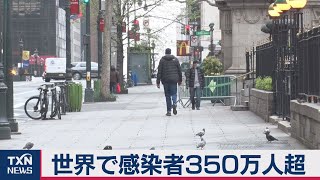 世界の感染者350万人超