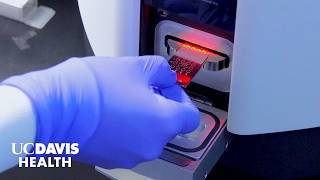 Rapid COVID-19 Test Uses Robotics and Machine Learning in New Ways | UC Davis Research