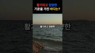 대한민국에서 활기차고 청량한 기운을 가진 바다는?! #바다 #기운 #풍수