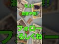 閑散期終了！？ディズニー混雑予想2025年2月編！ ディズニー 東京ディズニーリゾート ディズニーランド ディズニーシー