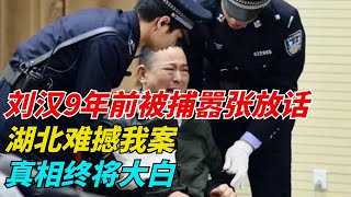 刘汉9年前被捕嚣张放话：湖北难撼我案，真相终将大白【老赵话奇闻】#故事 #熱門 #電影 #悬疑 #侦破 #推薦 #分享 #正能量