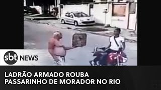 Ladrão rouba passarinho de morador na porta de casa no Rio
