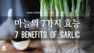 7 Wonderful Benefits of Garlic | 마늘의 7가지 우수한 효능 (ENG CC)