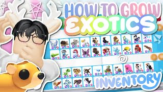 How to GROW an “EXOTICS” INVENTORY easily (2025 :: 🤩) !!