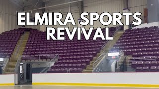 Elmira Welcomes New NAHL Team, the Aviators, Amid Plans for Sports Revitalization