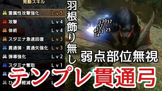 [ライズ]羽根飾り無し＆弱点部位無視！火力の出る超扱いやすい貫通弓の紹介part103