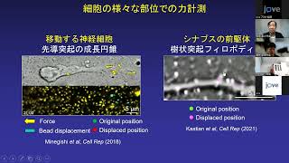 JoVE研究ウェビナー「細胞移動と軸索ガイダンスのメカニズム解析のためのイメージング技術」