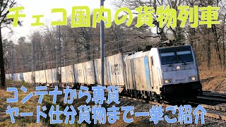 【貨物専科】チェコ国内の貨物列車