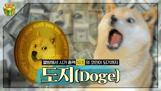 세상에서 제일 유명하고 제일 비싼 시바견 : Doge가 누구야?