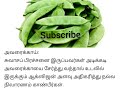 சுவாசப் பிரச்சனை உள்ளவர்களுக்கு ஆக்ஸிஜன் அளவு அதிகமாக அவரைக்காய்