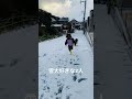 雪の日 germanshephard ジャーマンシェパード shorts