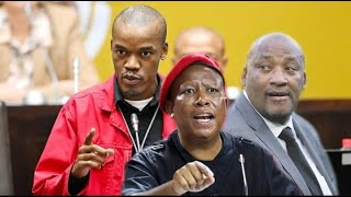 Julius malema members of parliament in Trouble, After gayton mckenzie people caused chaos