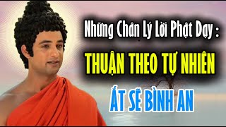 Những Chân Lý Lời Phật Dạy : Thuận Theo Tự Nhiên Ẳt Sẽ Bình An