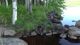 Kiimasjärvi Lake and Nature