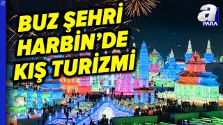 41. Harbin Buz Ve Kar Festivali! Eksi 30'a Varan Havada Buzdan Devasa Heykel Ve Şatolar | A Para