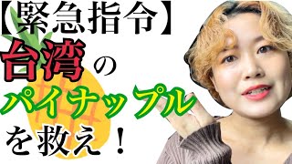 台湾産パイナップルが中国の輸入停止で大ピンチなんです。