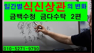 일간별 식신상관의 특징 2편  금백수청 금다수탁